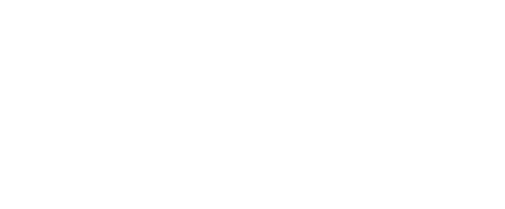BigOcean Marine Logo in white.